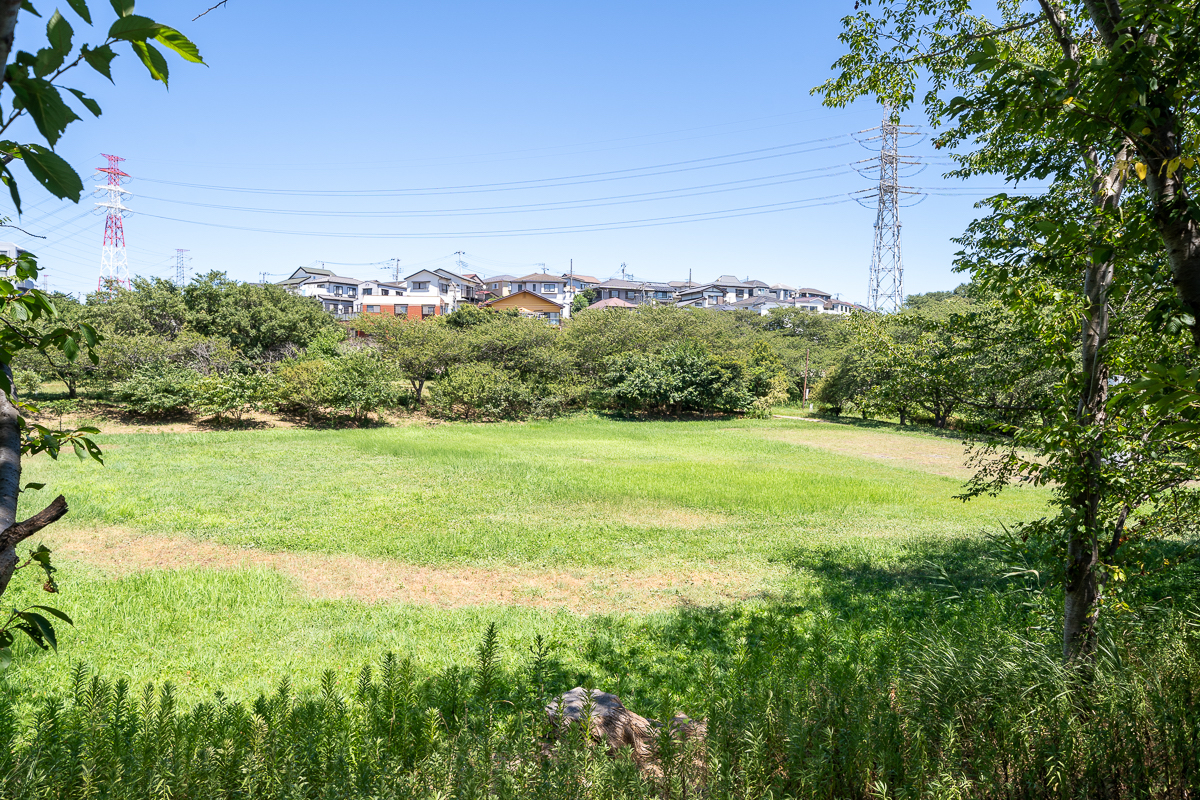 船橋ビレジの周辺施設