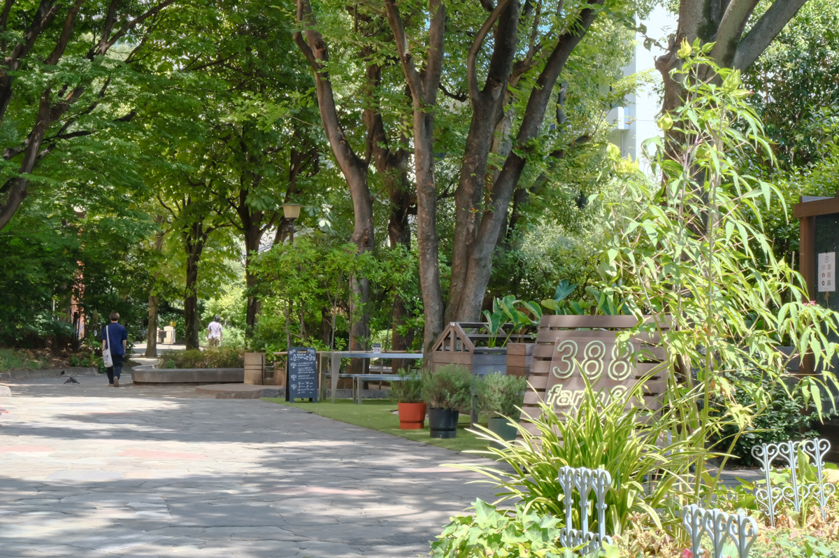 東京都の中古マンション: 緑豊かな都心のレトロマンションでマイペースに暮らす「初台富士ハイライズ」3階