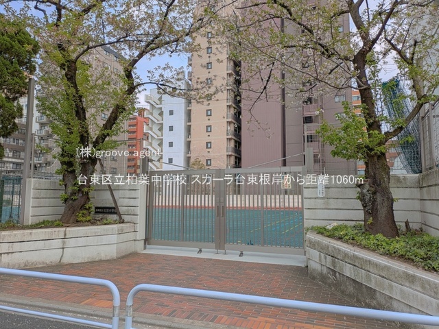 スカーラ台東根岸