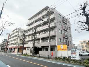 ドムール江古田
