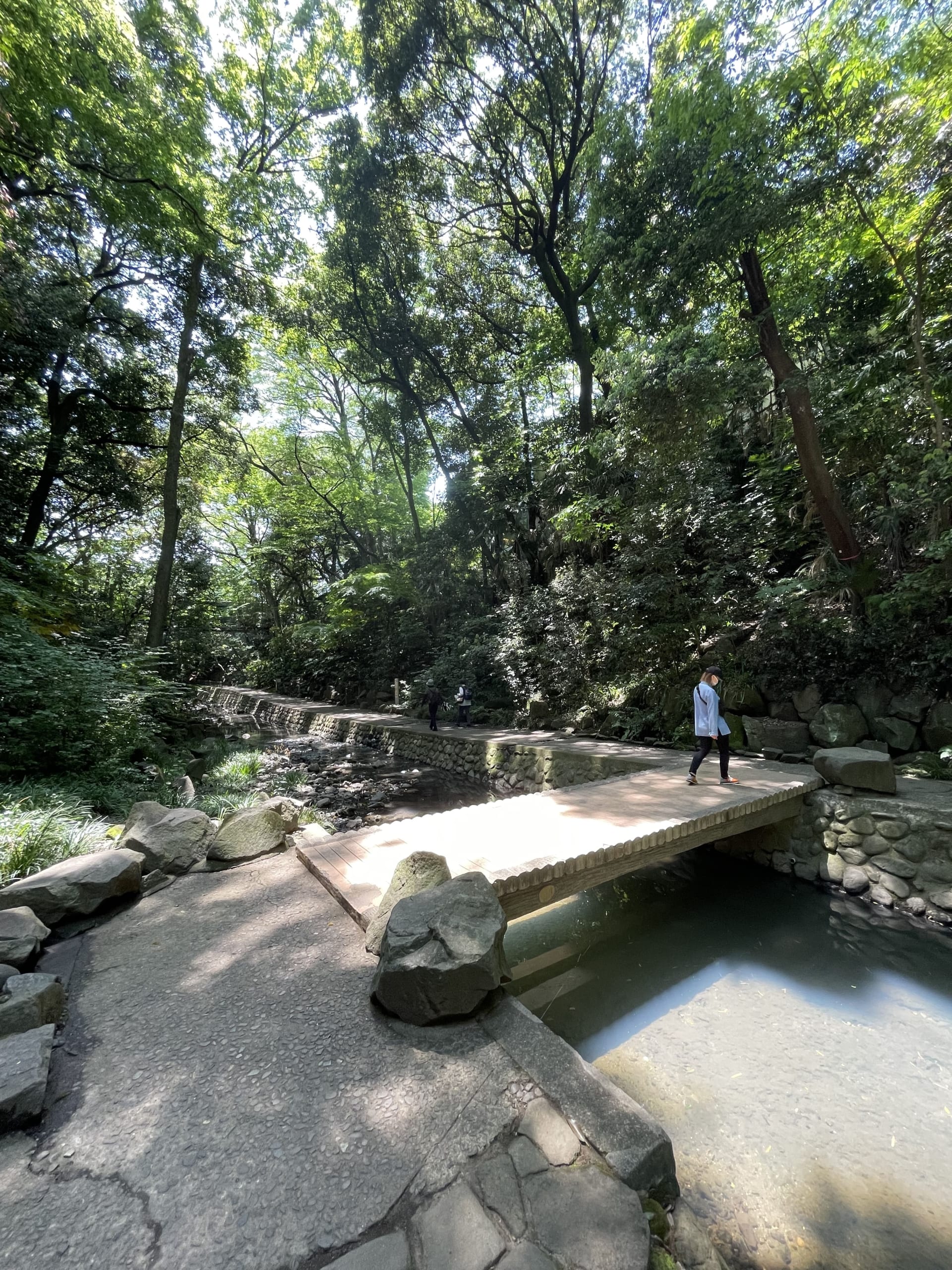 東京都の中古マンション: 等々力渓谷スカイマンション