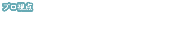 視点2：耐震性の見極め